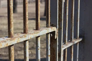 12 години затвор за блудство с 5-годишно дете