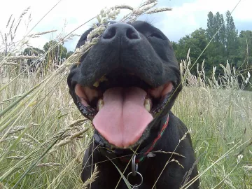 Вицове за усмихната седмица 