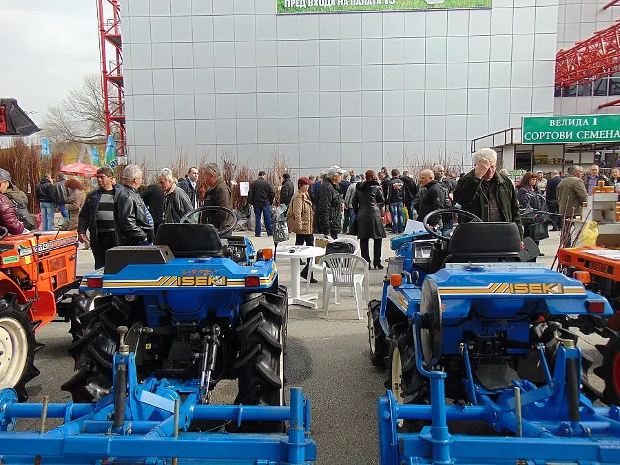 Синя кайсия с приз от изложението Агра 2016