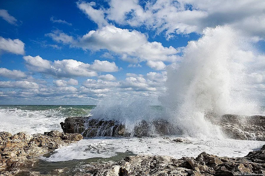 Стара планина била дъно на море