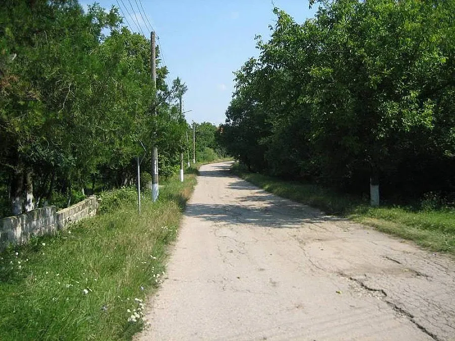 Варненци с макаронена фабрика в Добричко