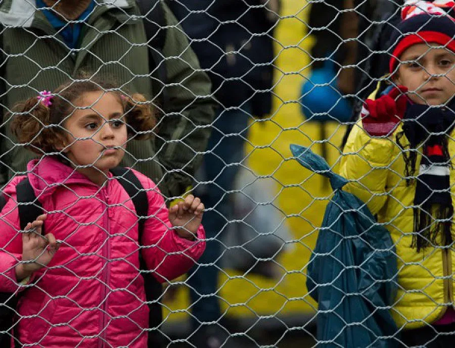 6 млрд. евро заработили каналджиите за година