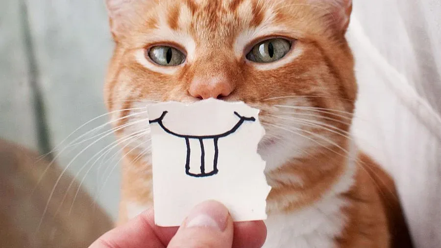 Вицове за весел старт на седмицата