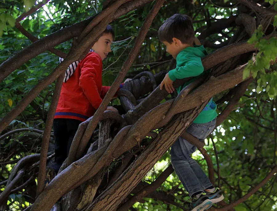 Слънчев старт на седмицата