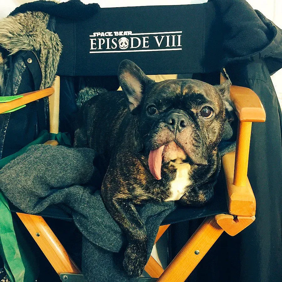 Името на Star Wars VIII изтече в Twitter