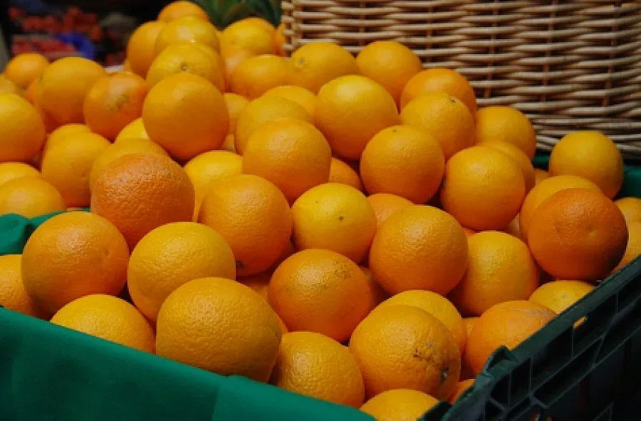 Проф. Плочев: Не може да има СПИН в портокали