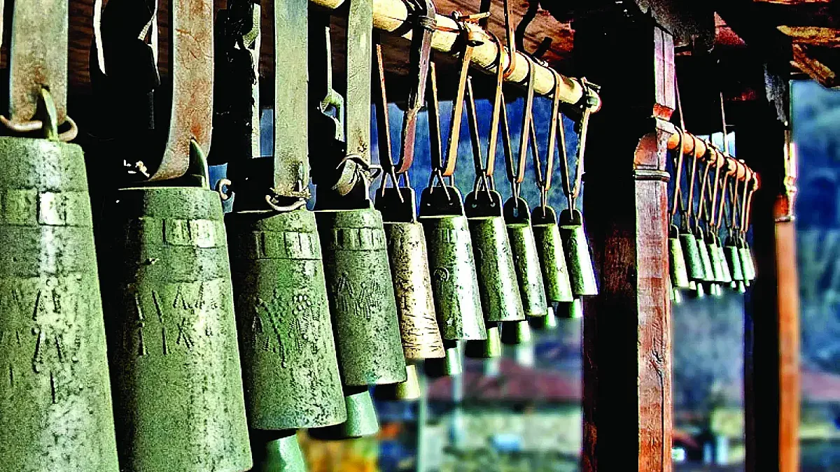 Буйново - портата към най-дивните гори на Родопите