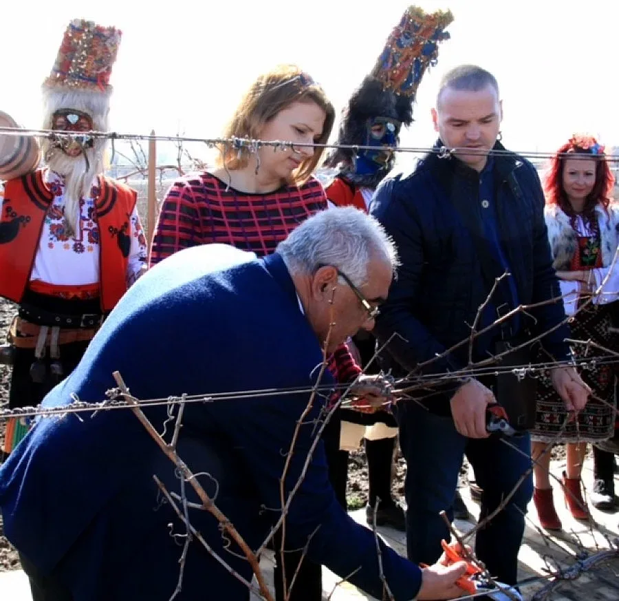Кооператив обедини лозари и винари от Карнобат