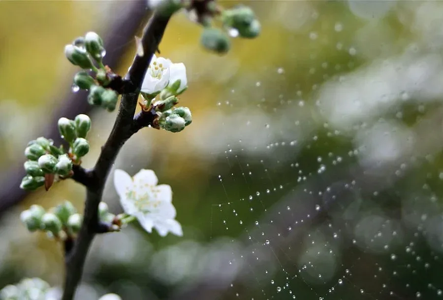 Облаци и дъжд в събота