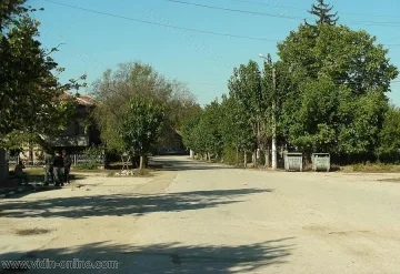 Сват и сваха се конкурират за кмет на Септемврийци