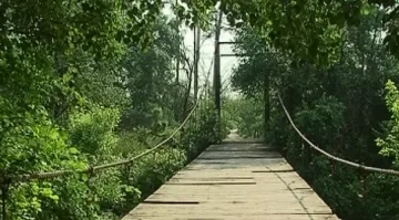 32 въжени мостове опасни в Южна България 