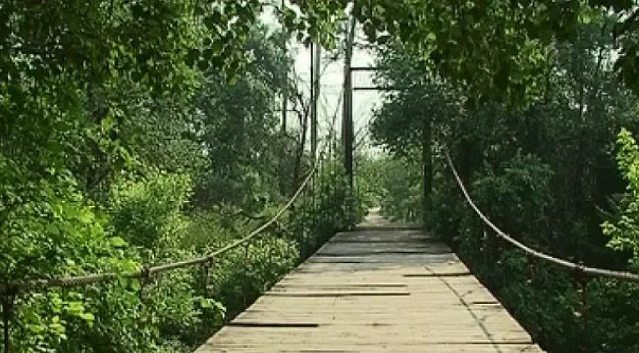 32 въжени мостове опасни в Южна България 