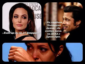 Пит и Джоли дават рамо на "Дунав"