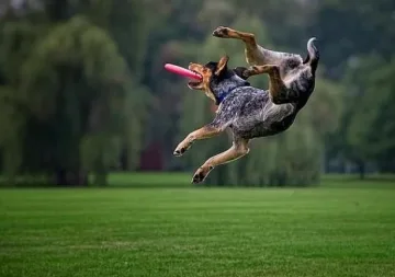 Вицове за смешен старт на деня