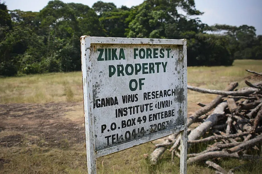 Зика стресна и кенийците