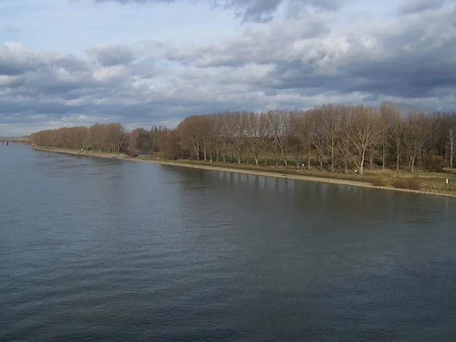 Мигрант спаси паднал в река Рейн