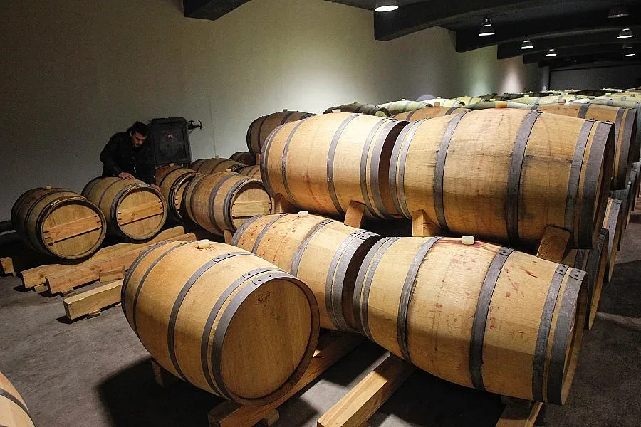 Избират най-доброто вино в Кюстендил