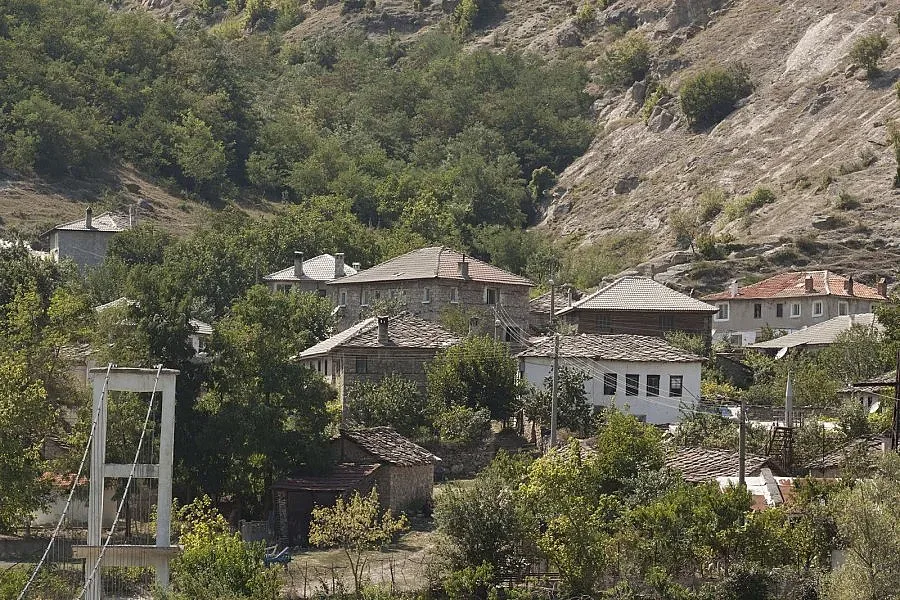 Унищожиха над 300 птици заради Нюкясълската болест