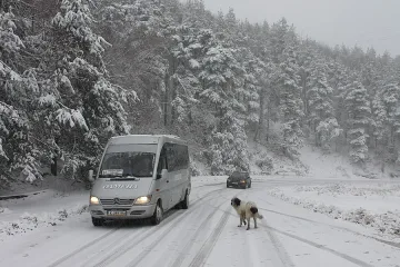 Сняг покри Ардинско