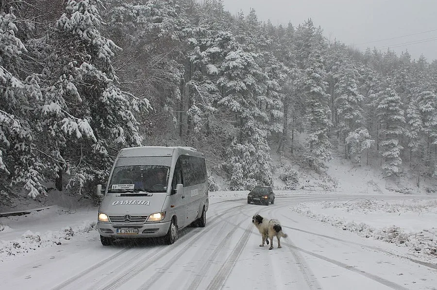 Сняг покри Ардинско