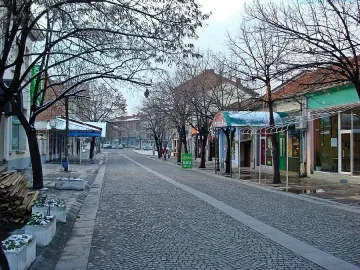 4 в болница след като Ауди се натресе в кон