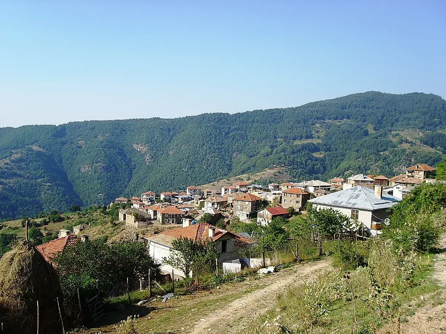 Осиково още изтръпва от най-голямата трагедия в селото