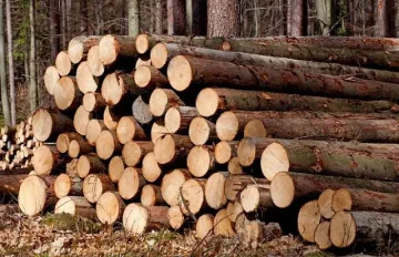 Спипаха два „ЗИЛ”-а с незаконни дърва