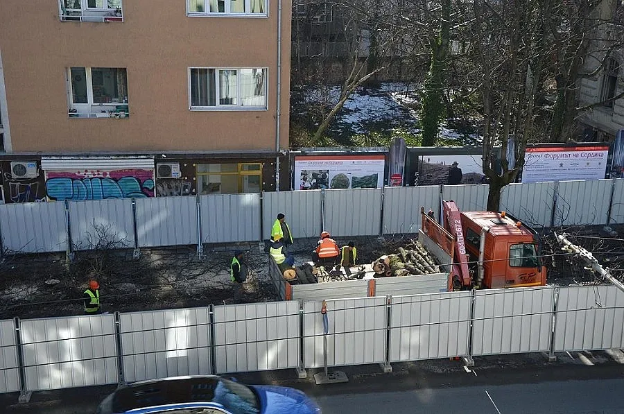 Засаждат нови кестени, като построят станцията на "Патриарха"