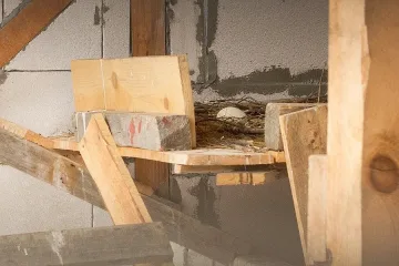 Белоглави лешояди ще имат потомство