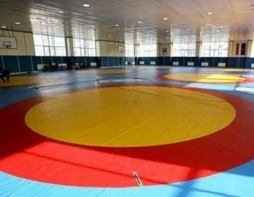Сребро за Юсеин от борбата в София