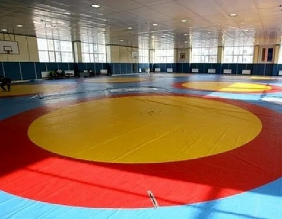 Сребро за Юсеин от борбата в София