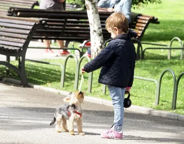 Домоуправители ще душат за такса „куче“ 