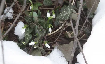 Топло, но с облаци и вятър в понеделник  