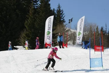 Свършиха местата за ски училищата на Витоша