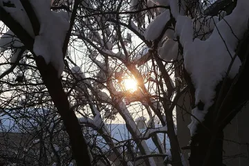 До 16 градуса в неделя 