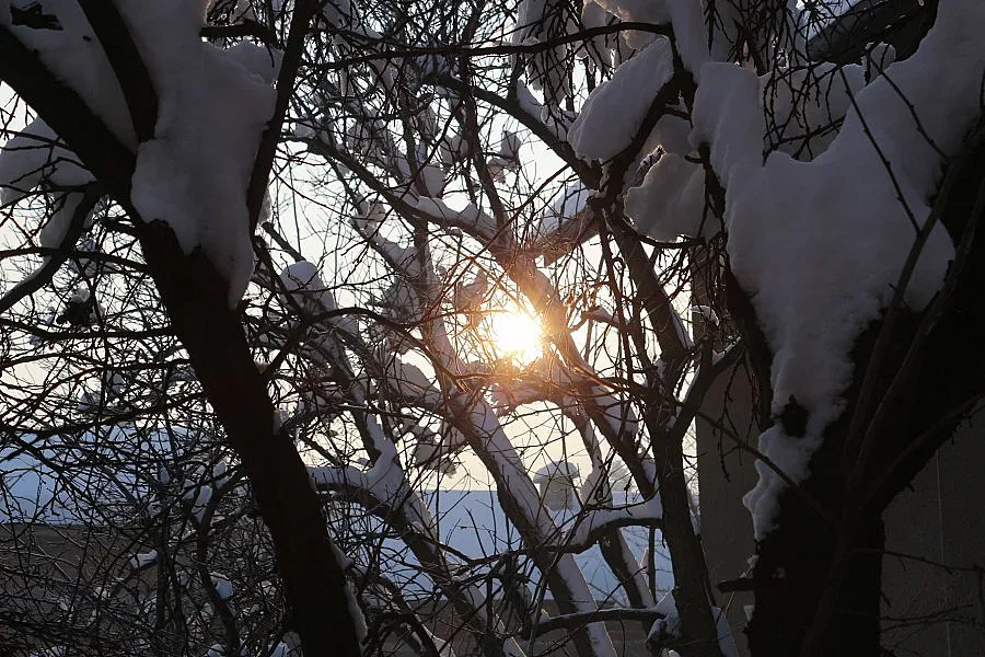 До 16 градуса в неделя 