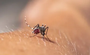 Какво трябва да знаем за вируса Зика