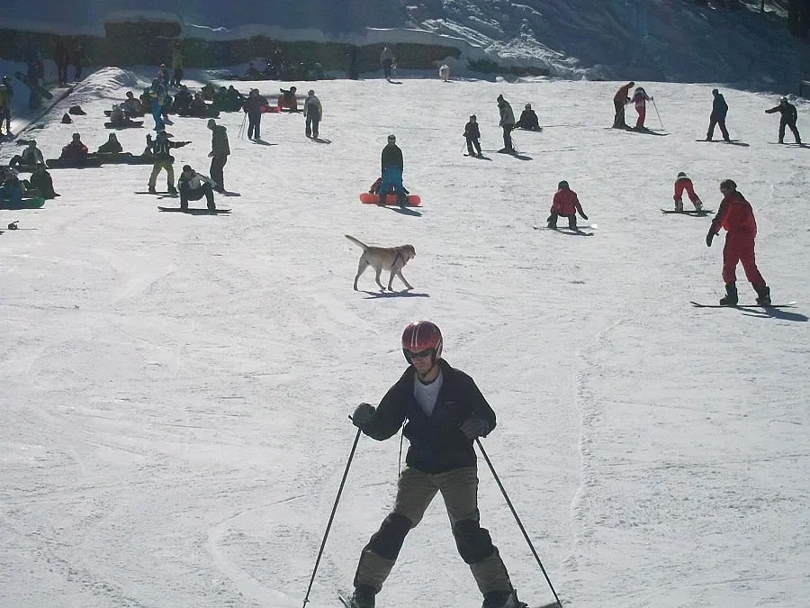 Над 10 000 туристи атакуват Банско през уикенда