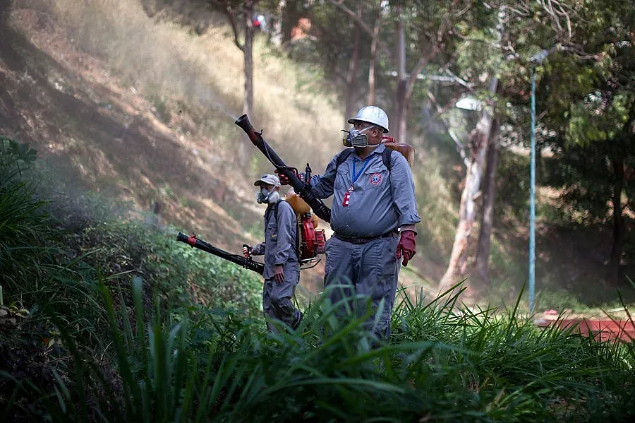 Вирусът "Зика" влиза в Европа и чрез бамбук
