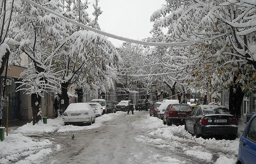 Снегът повреди кабели и стълбове за 360 хил.