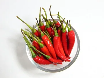 Руски космонавти ще гледат чушки в Космоса (ВИДЕО)