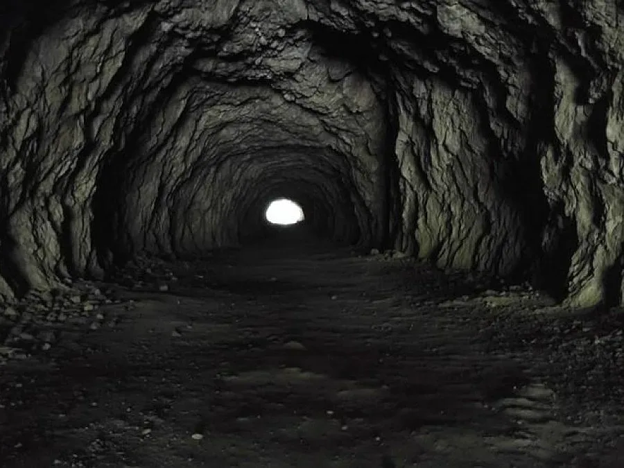 Българче спечели първо място в конкурс на National Geographic