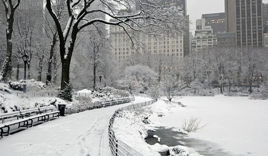 48 души са жертви на снежния апокалипсис в САЩ