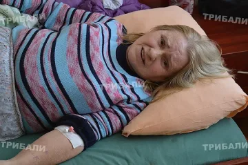 Глутница кучета нападна и нахапа врачанка 