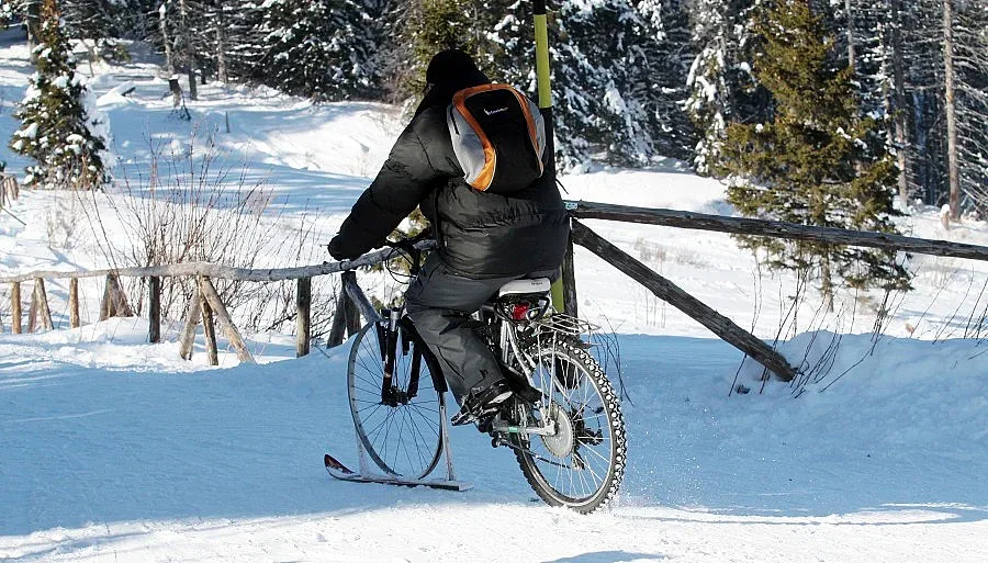 Делегираният бюджет роди новия школски хулиган