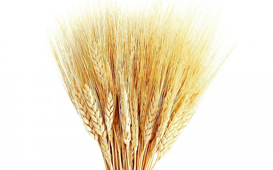 Пречистете духа и тялото 