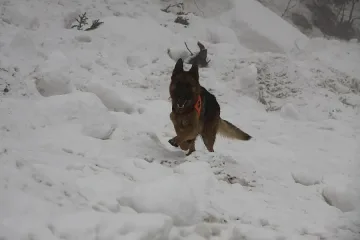 Има опасност от лавина на Витоша