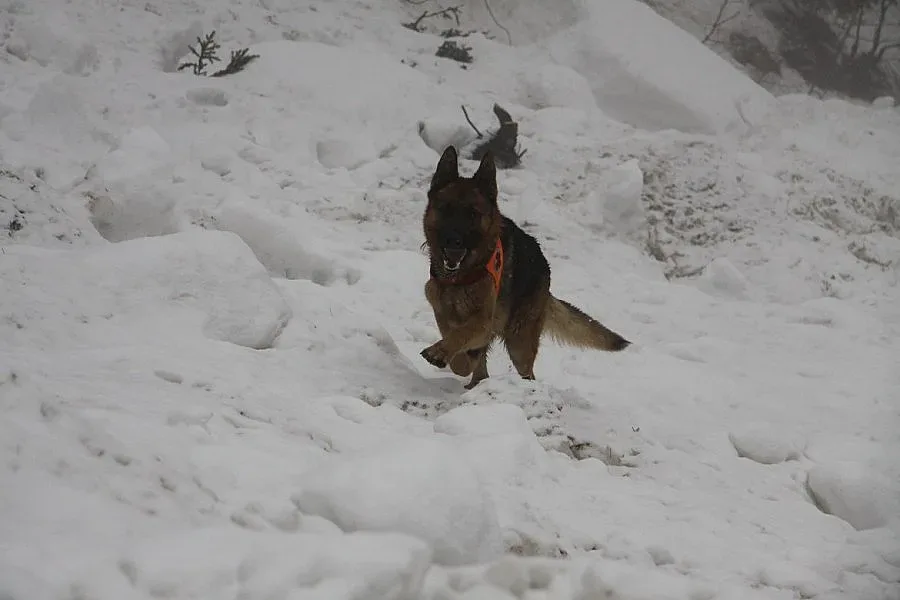 Има опасност от лавина на Витоша