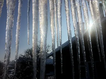 Махат висулките в София