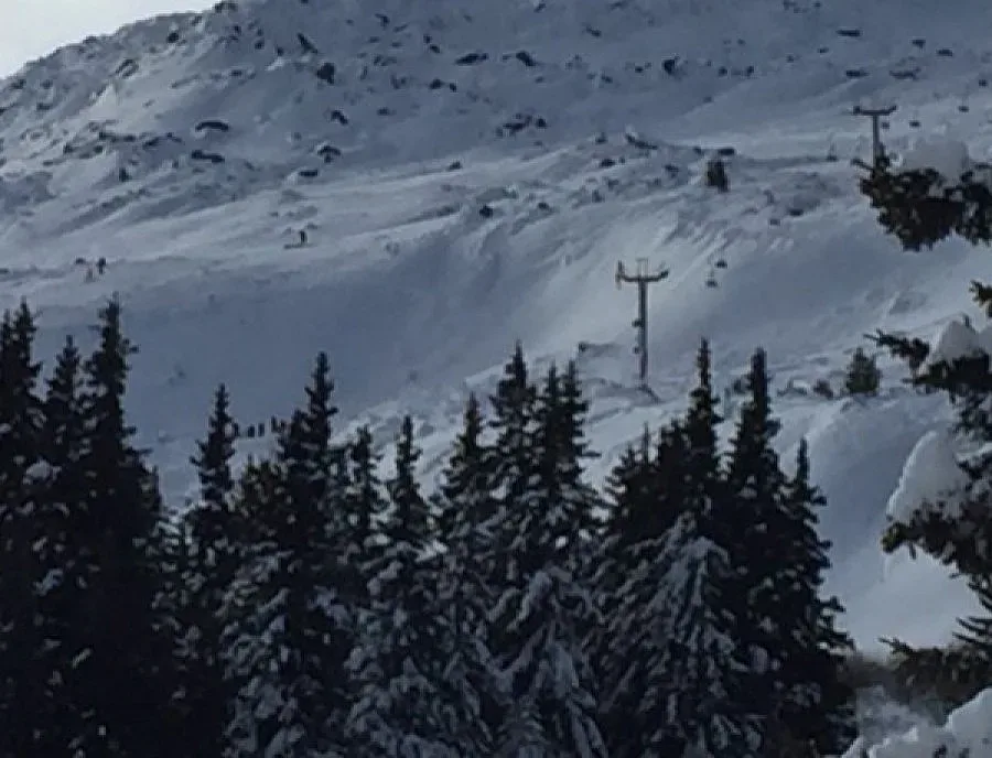 Загиналите момчета във Витоша често правили снимки в планината